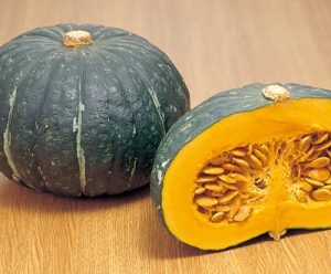Japanese Pumpkin