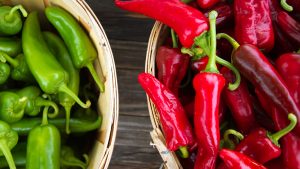 Red and Green Chile Peppers in Bushel Baskets