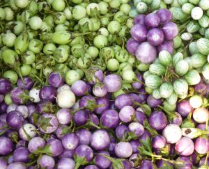 Thai Eggplant 2